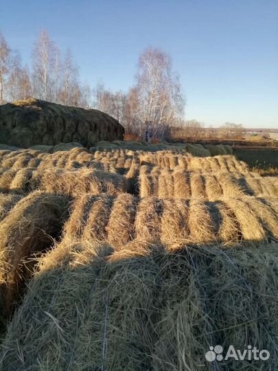 Сено в рулонах