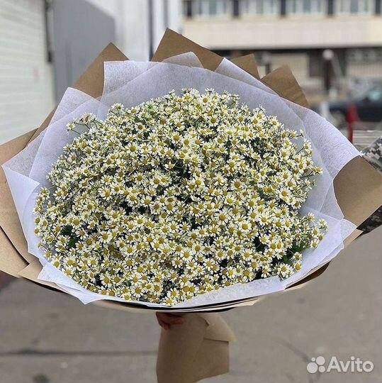 Ромашки букет