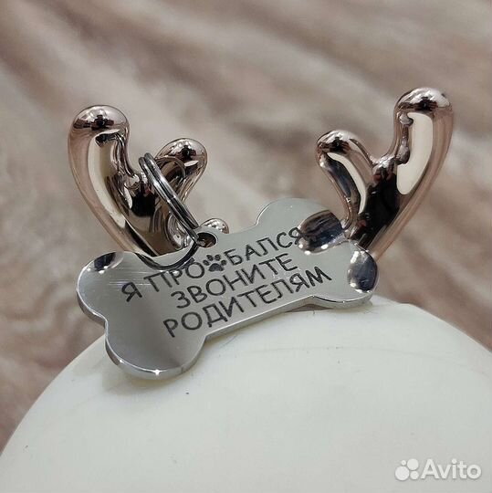 Адресник из нержавейки для собак и кошек