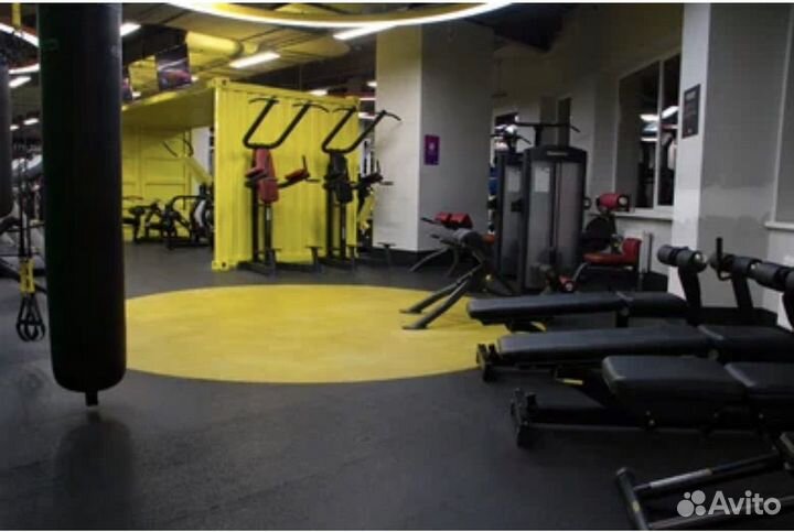 Абонемент в фитнес клуб Alex fitness