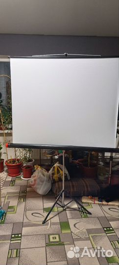 Экран для проектора на штативе