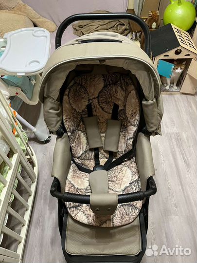 Коляска 2 в 1 adamex