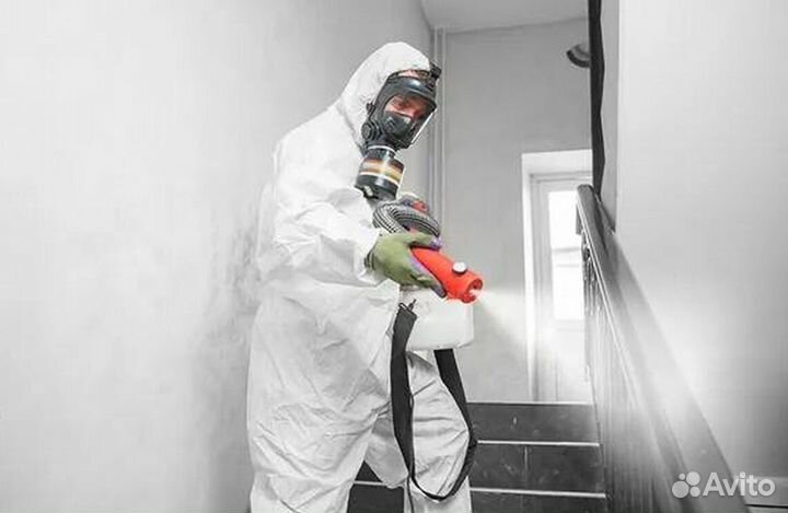 Средство для Уничтожения клопов тараканов плесени клещей