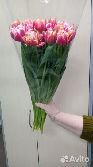 Тюльпаны фермерские 70см