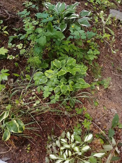 Дача 60 м² на участке 7,5 сот.