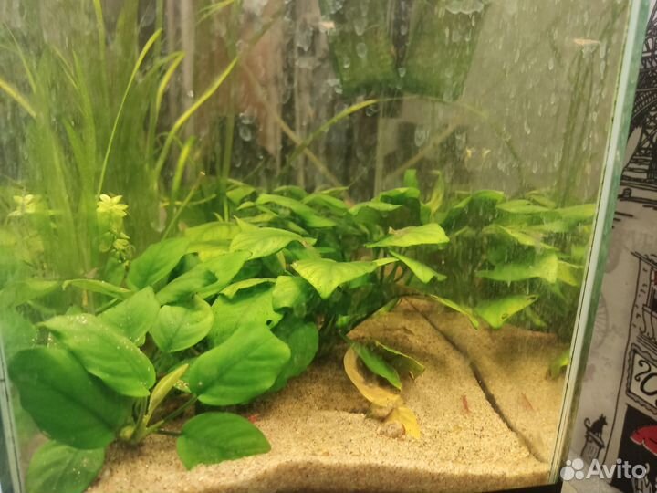 Аквариум с комплектом
