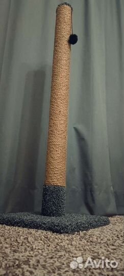 Когтеточка