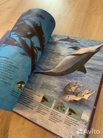 Энциклопедия