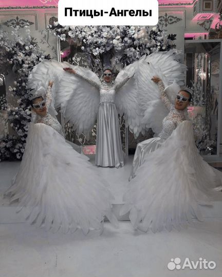 Шоу-балет Beauty