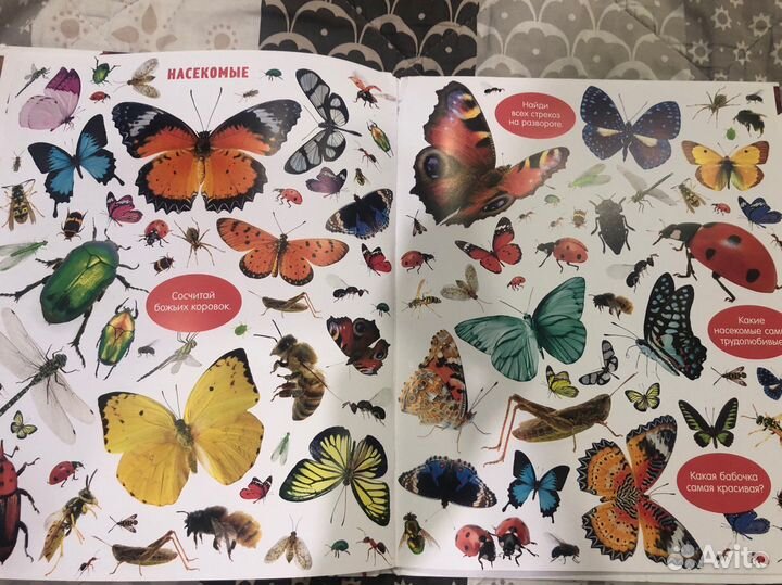 Большая книга малыша животные clever