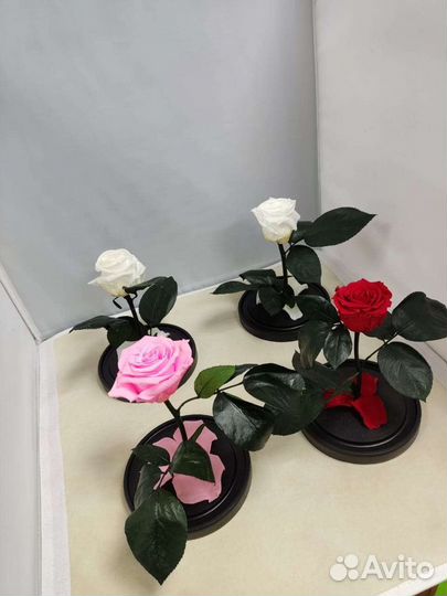 Роза в колбе оптом и в розницу