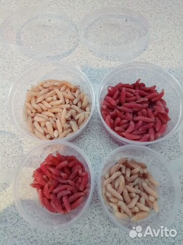 Лучший Опарыш