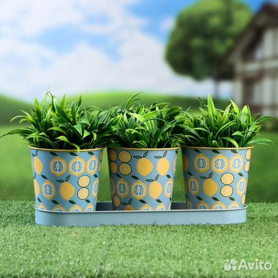 Набор кашпо на подставке 'Ведерко' лимоны, 29х10х1