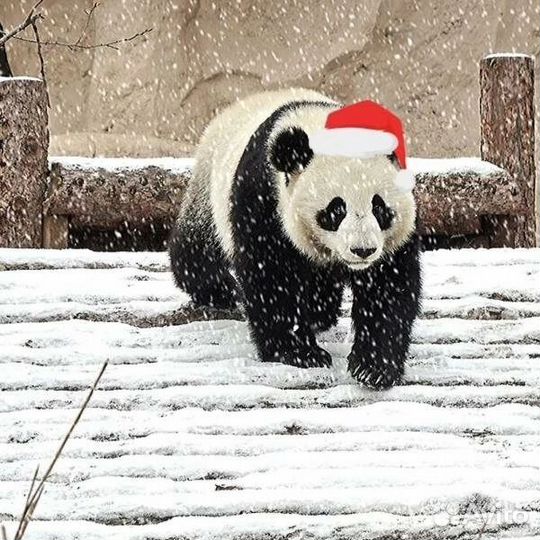 Москва из Воронежа