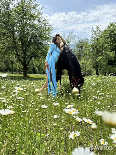 Тур в горы (кони, джиппинг, баня)