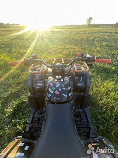 Квадрацикл avantis hunter 200