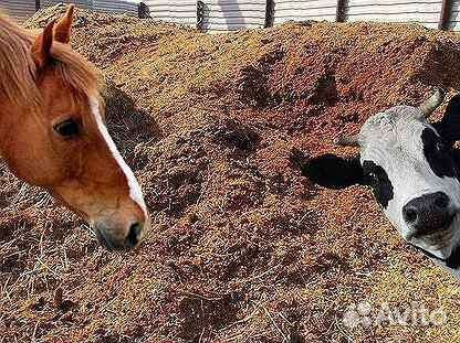 Конский коровий перегной мешках