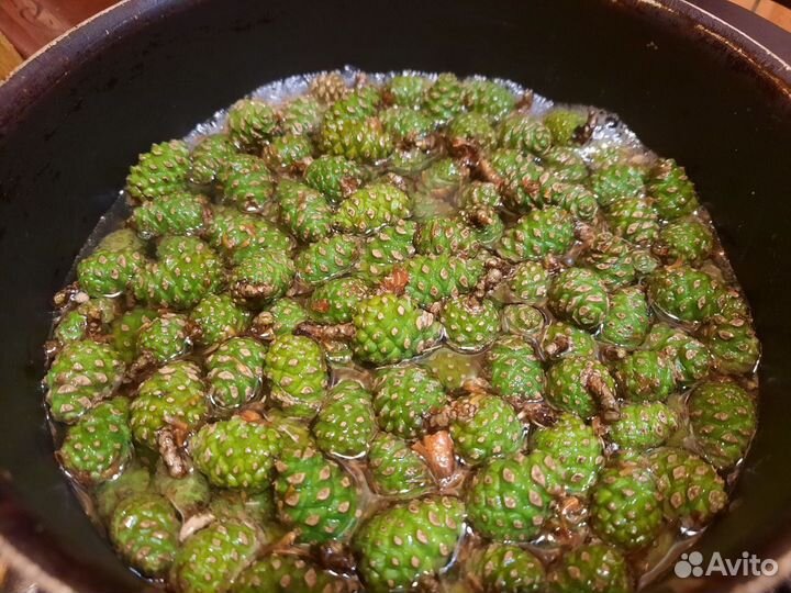 Лекарственные травы. фитотерапия. фитосборы