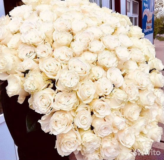 Розы Высокие Розы Гиганты Доставка Москва