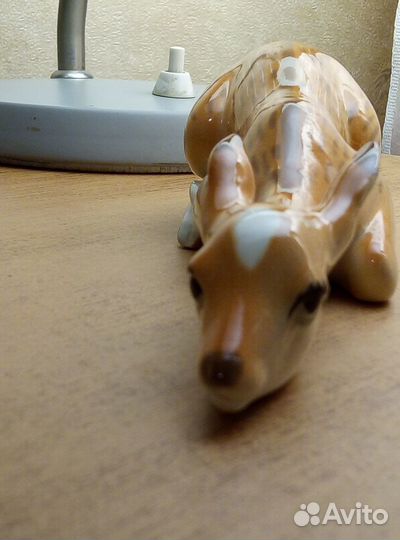 Лань лежащая.лфз