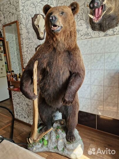 Имитация медведя