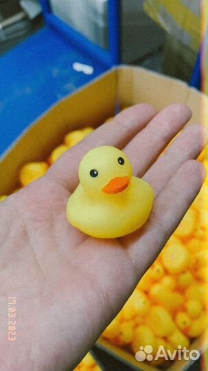 Мини утки брак 500 шт