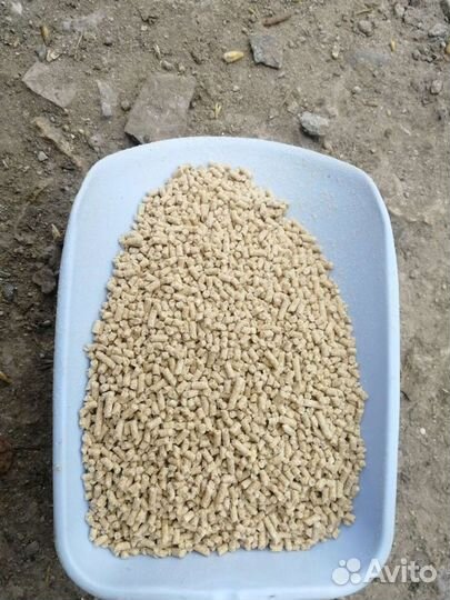 Комбикорм для самых маленьких поросят. Предстартер