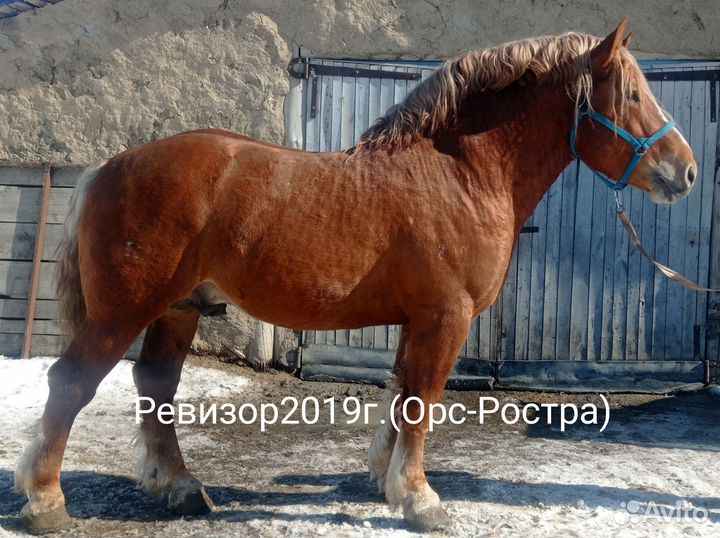 Советский тяжеловоз