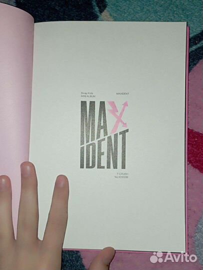 Stray kids альбом maxident