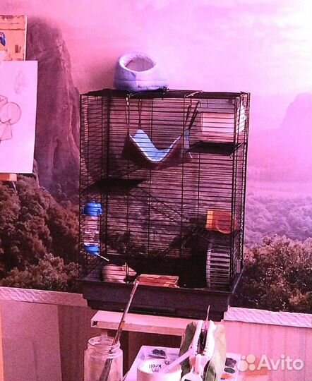 Клетка для грызунов большая