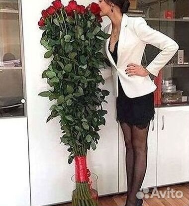 101 роза цветы букеты доставка 25 51 101 роза