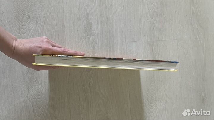 Приключенич Эмиля из Ленненбергии