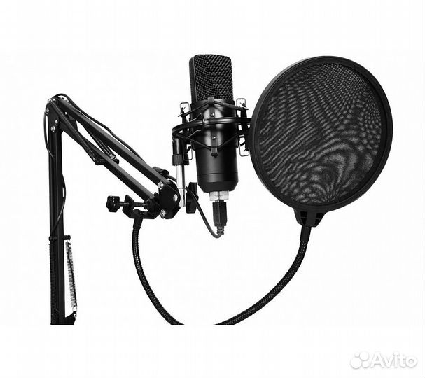 Микрофон SunWind SW-SM400G, черный