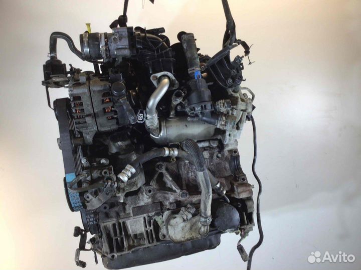 Двигатель ford tourneo custom (bjfa)