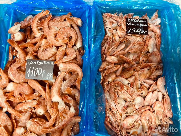 Креветки,морской гребешок,мидии