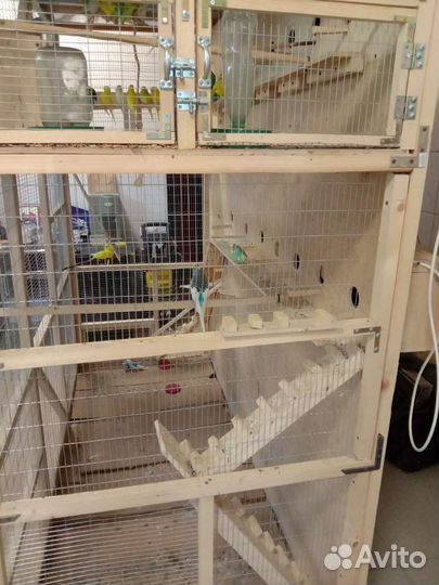 Вольер для птиц