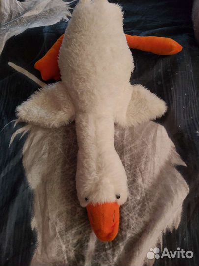 Гусь обнимусь