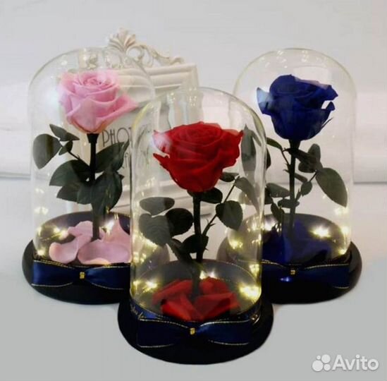 Роза в колбе