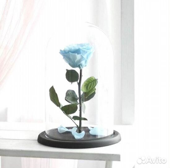 Роза в колбе. От производителя