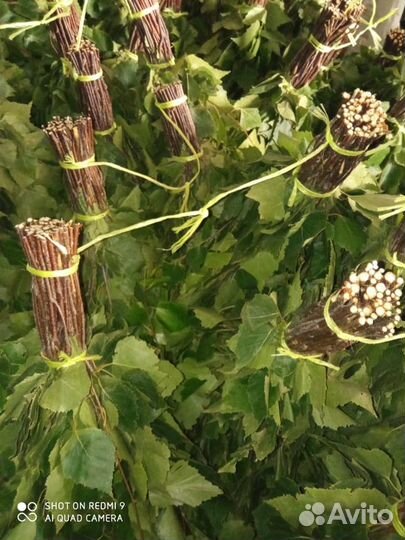 Банные веники- дуб, берёза