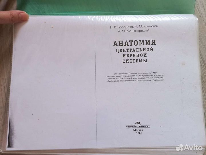 Анатомия цнс для студентов мед вузов
