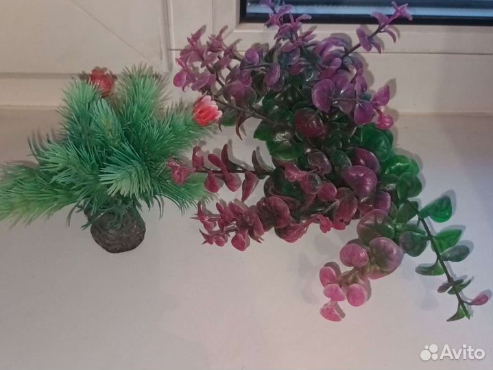 Аквариум с фильтром,корм, скребок, растения