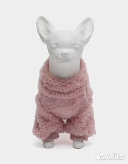 Костюм для собаки