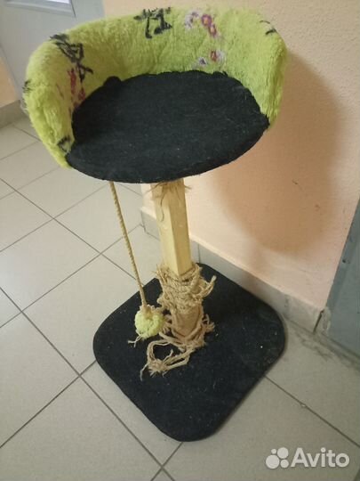 Когтеточка для кошек бу