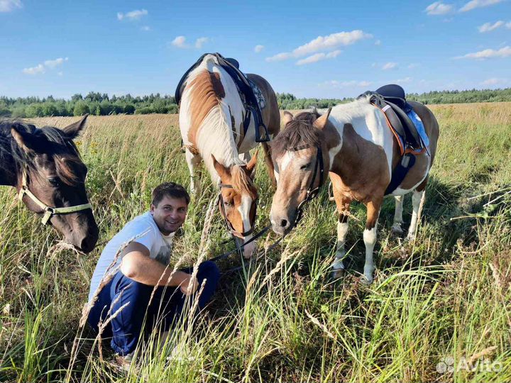 Катание на лошадях и пони. Прокат