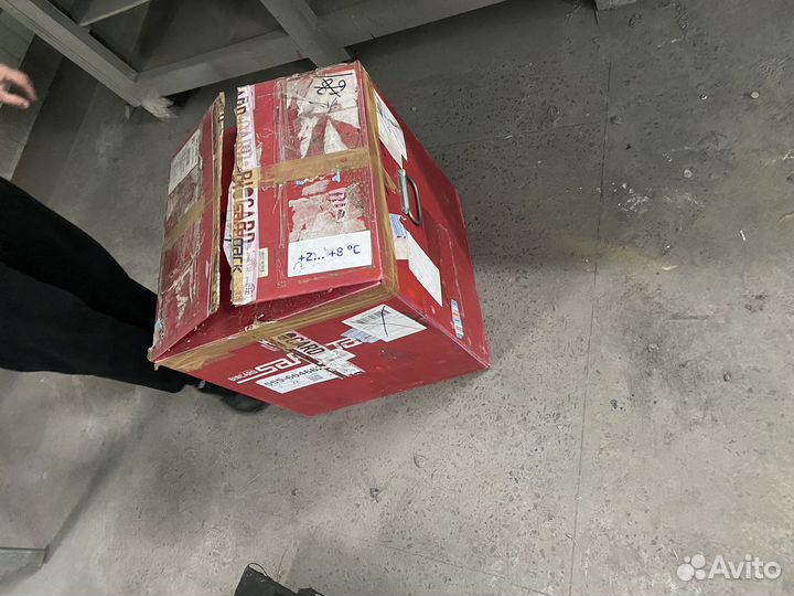 Термоконтейнер biocard safepack