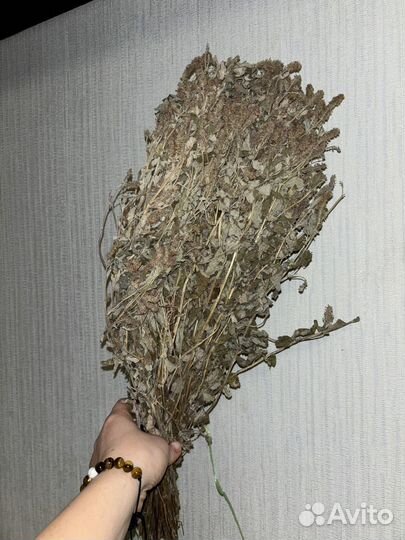 Веники для бани