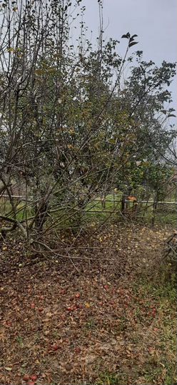 Дом 168 м² на участке 15 сот.