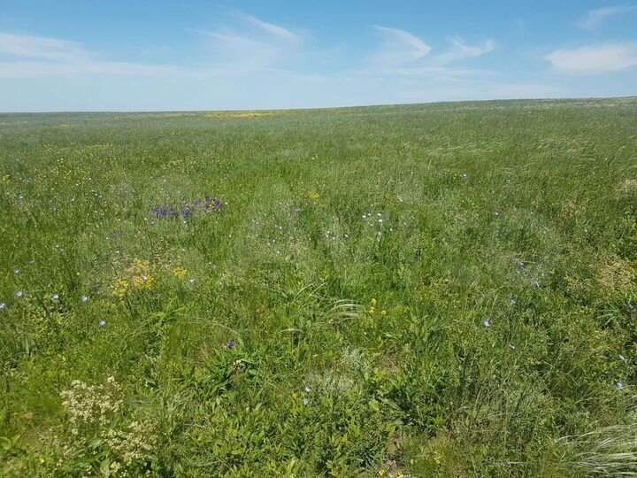 Участок 314 га (СНТ, ДНП)