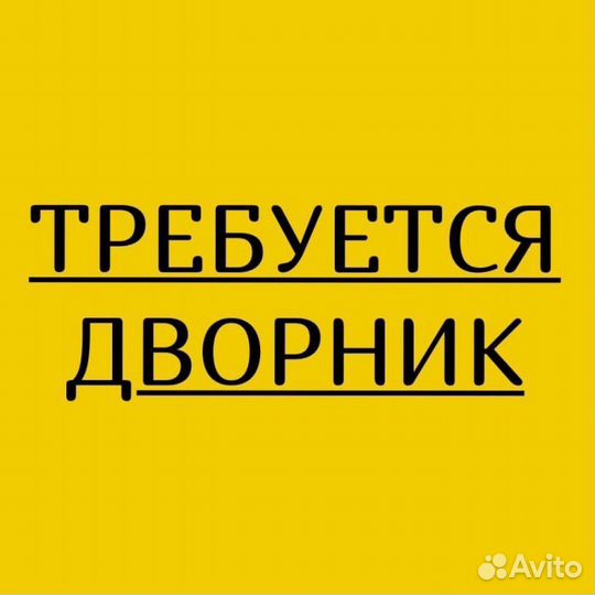 Дворник в ТЦ Москва